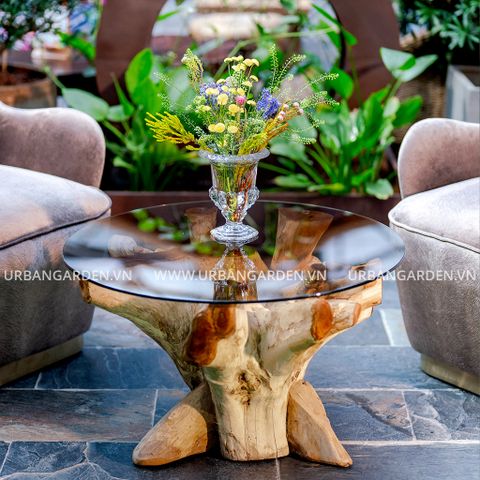 Bàn Sofa Coffee Table Root D750