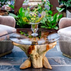  Bàn Sofa Coffee Table Root D750 