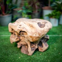  Đôn Gỗ Teak Unique Ball 