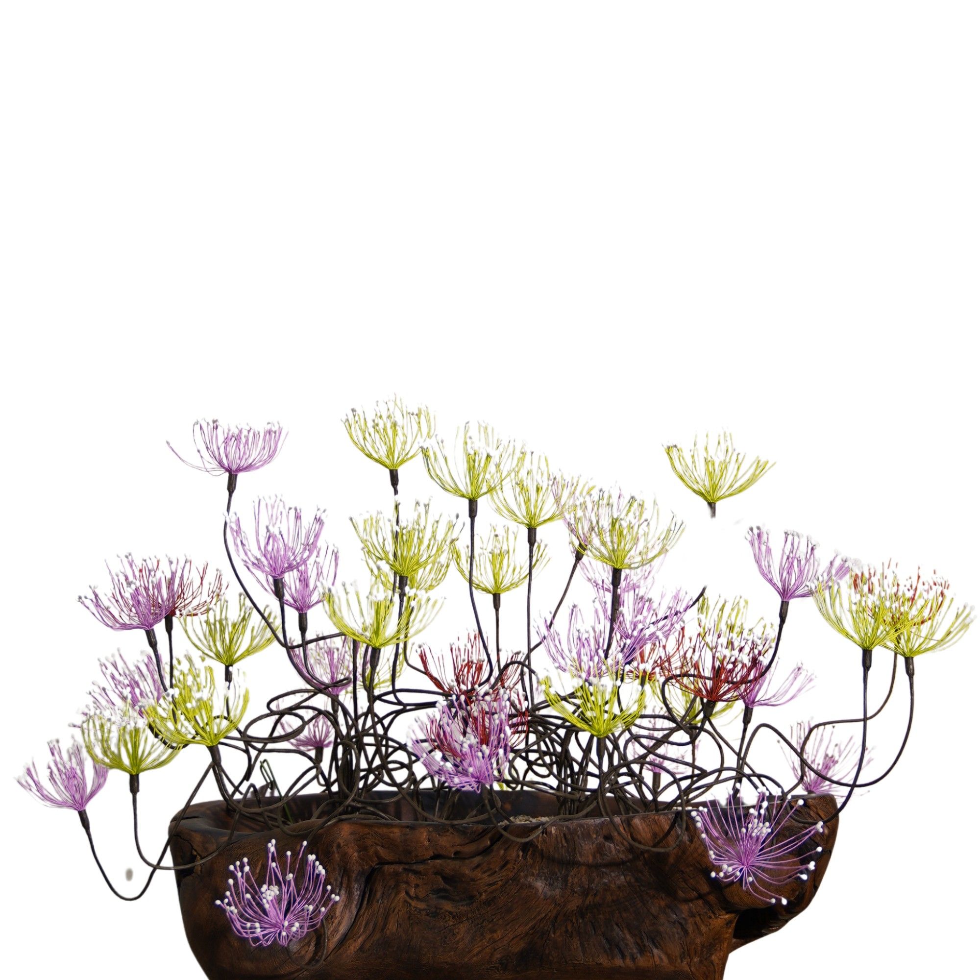  Hoa Khô Wirey Blossom (Red Brown) 