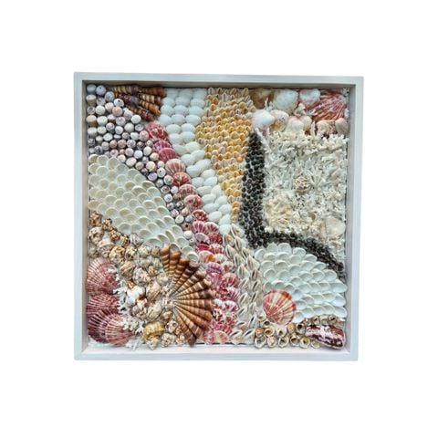 Sea Shell Art D50