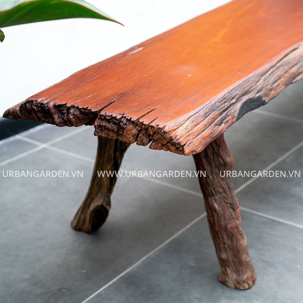  Băng Ghế Gỗ Lũa Reborn Wood Slab Oxford 12AX3 D200 
