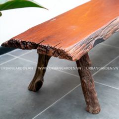  Băng Ghế Gỗ Lũa Reborn Wood Slab Oxford 12AX3 D200 
