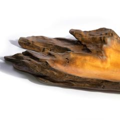  Khay Gỗ Decor Gỗ Lũa Reborn Wood Driftwood 16IX3-Lot No.2 