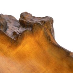  Khay Gỗ Decor Gỗ Lũa Reborn Wood Driftwood 16IX3-Lot No.2 