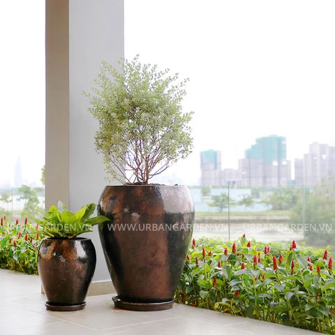 Chậu Cây Gốm Giả Cổ Tray 3039HM