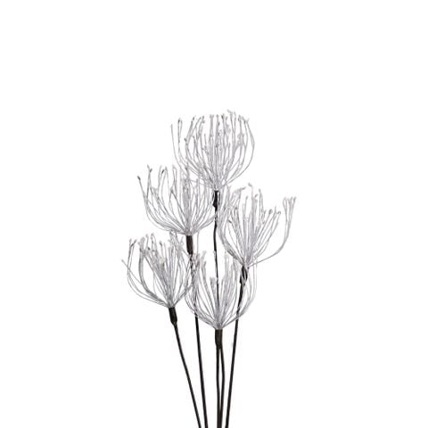 Hoa Khô White Wirey Blossom