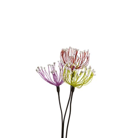 Hoa Khô Wirey Blossom (Green)