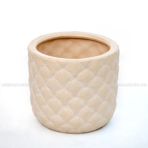 Chậu Cây Gốm Seashell