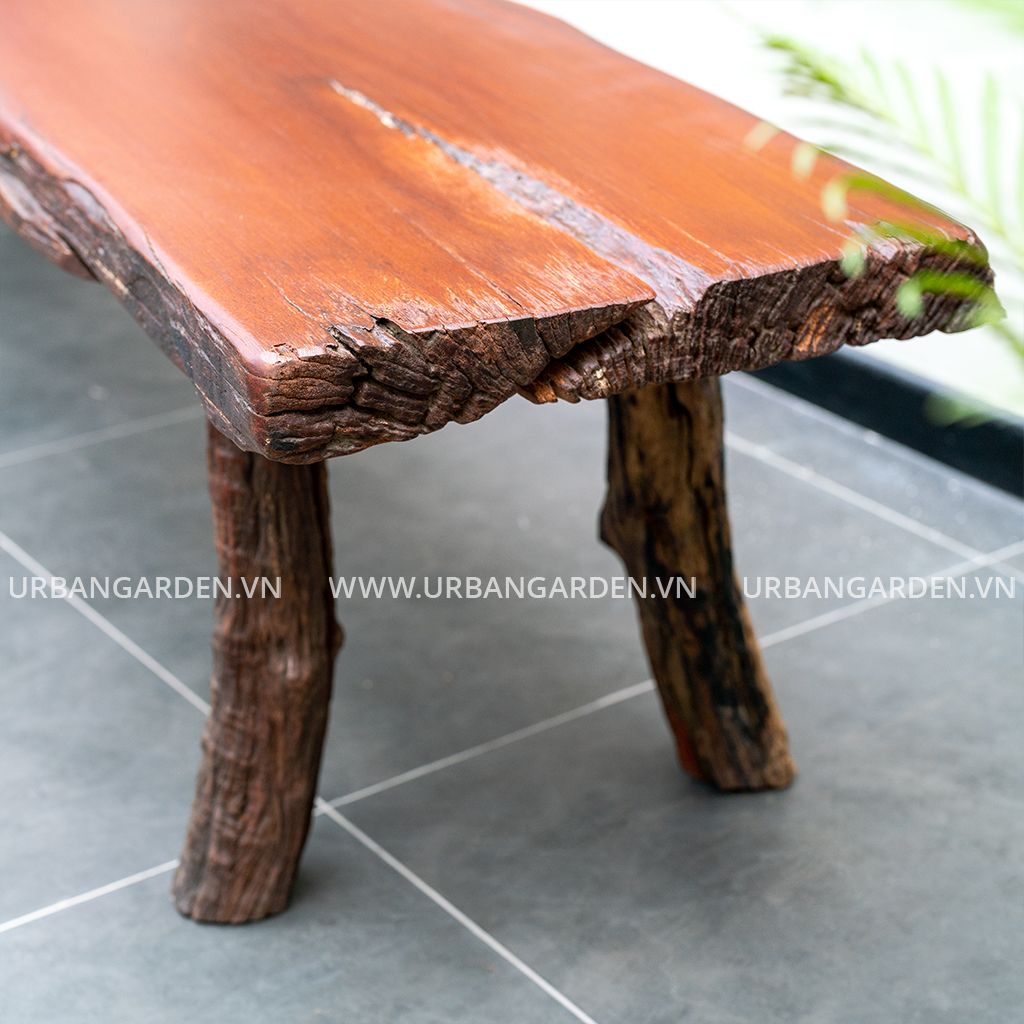  Băng Ghế Gỗ Lũa Reborn Wood Slab Oxford 12AX3 D200 
