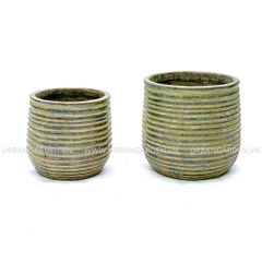 Chậu Cây Gốm Sol 
