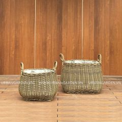  Giỏ Mây Nhựa Chubby 