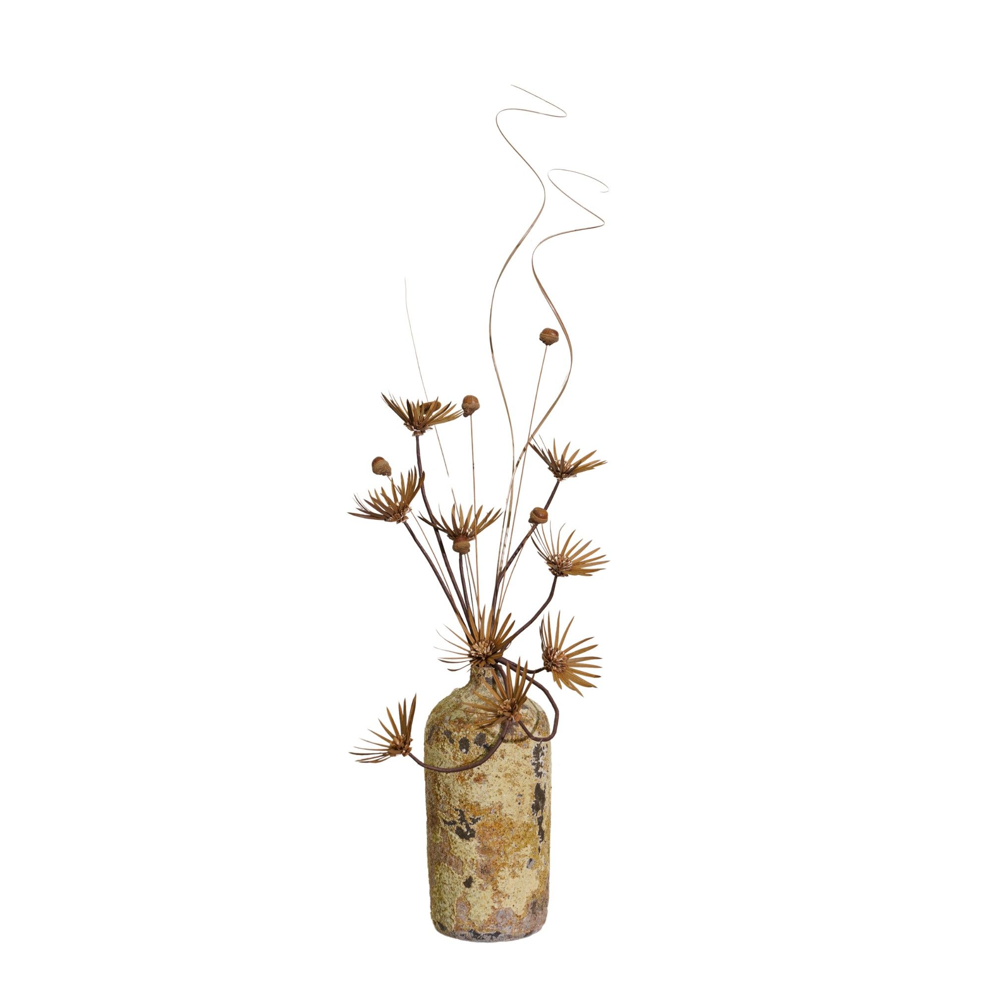  Hoa Khô Prong Blossom 