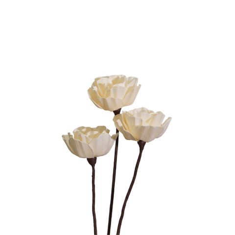Hoa Khô Wavy Blossom (10cm)
