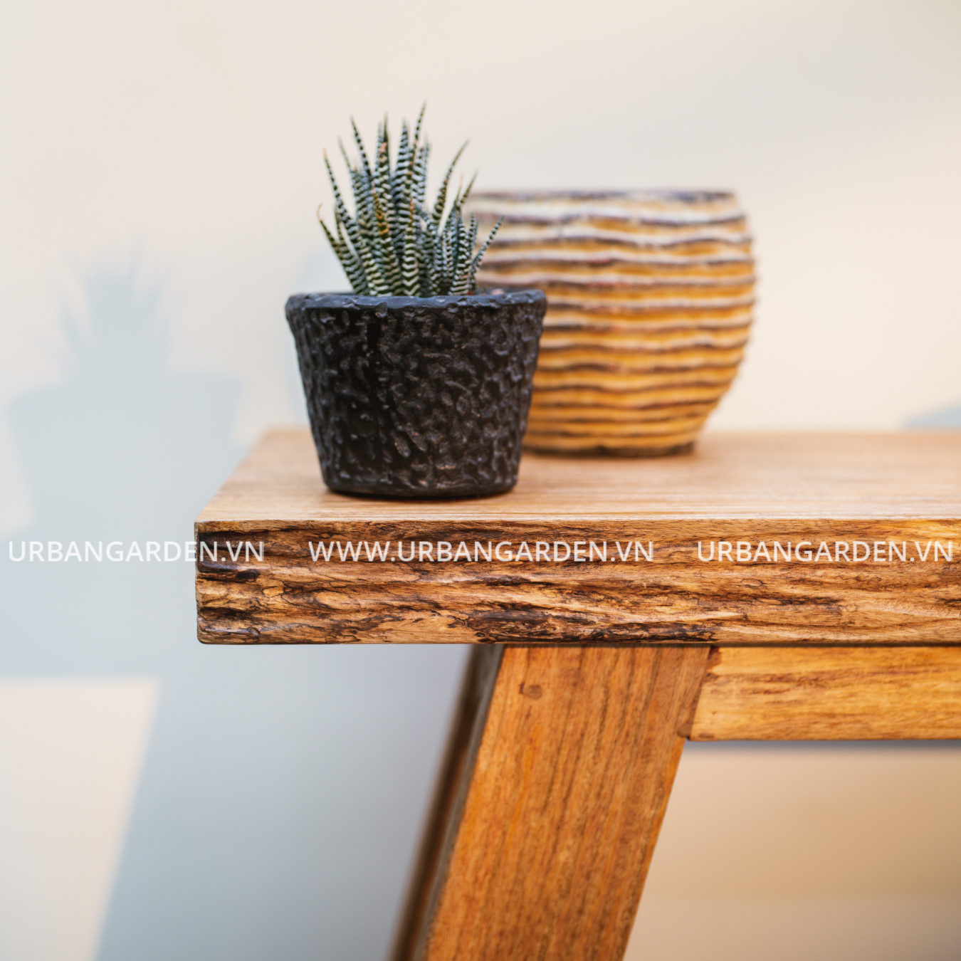 Chậu Cây Gốm Noir 