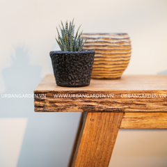  Chậu Cây Gốm Noir 