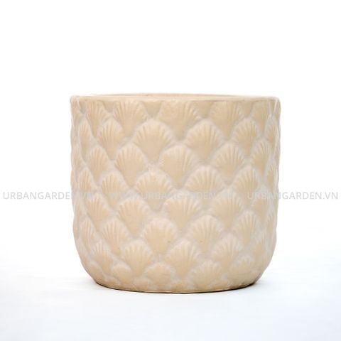 Chậu Cây Gốm Seashell