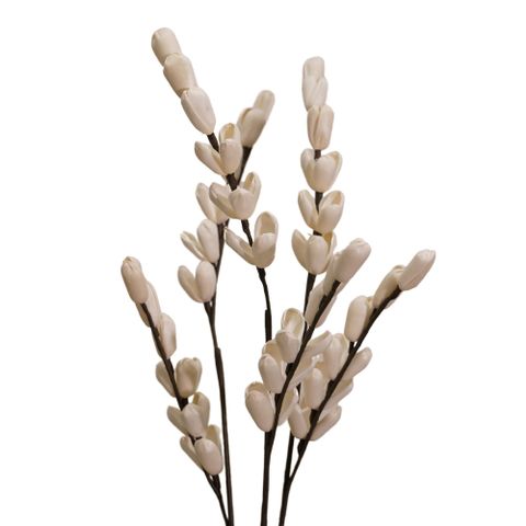 Hoa Khô Pretty Orchid