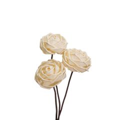  Hoa Khô Trang Trí Classic Rose (10 Cm) 