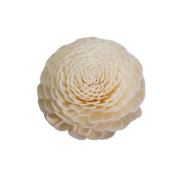  Hoa Khô Medium Jasmine (9 Cm) 