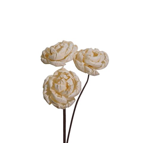 Hoa Khô Medium Peony (12 Cm)