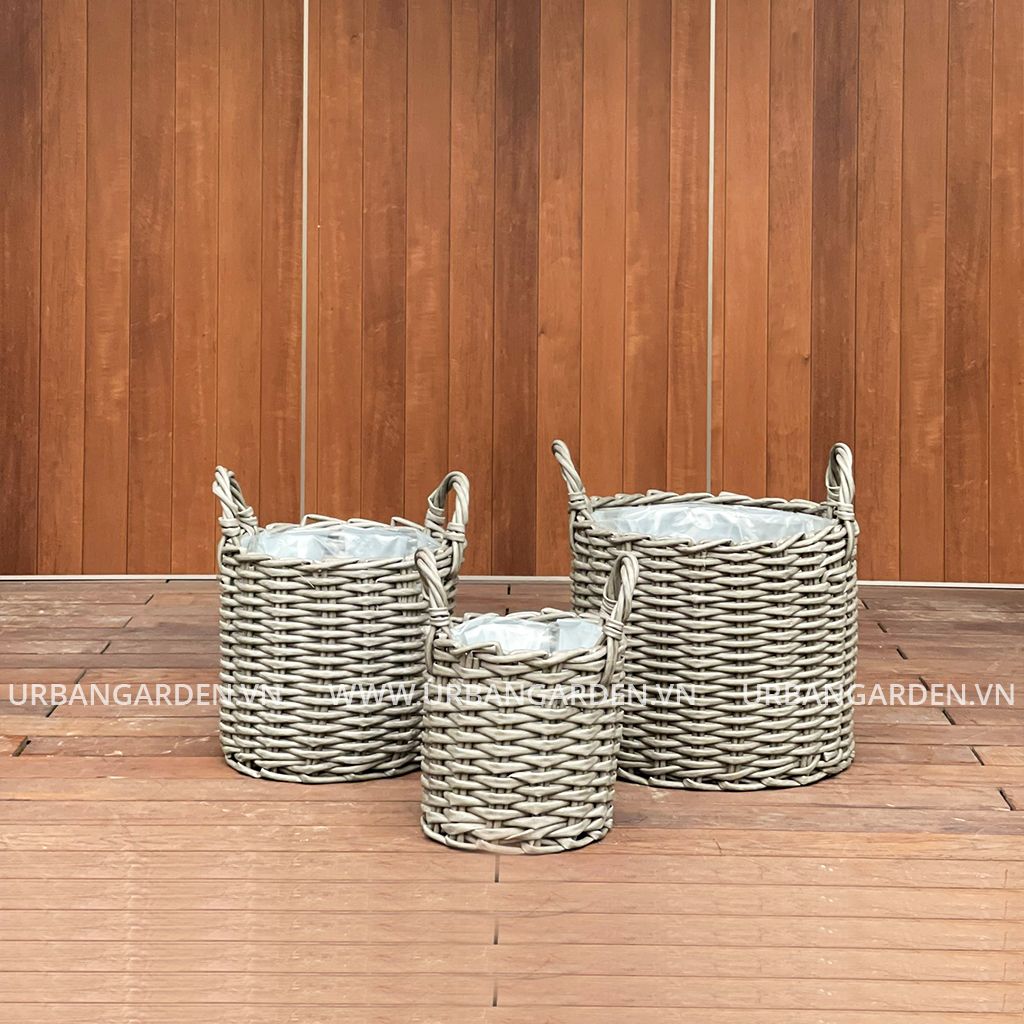  Giỏ Mây Nhựa Homie 