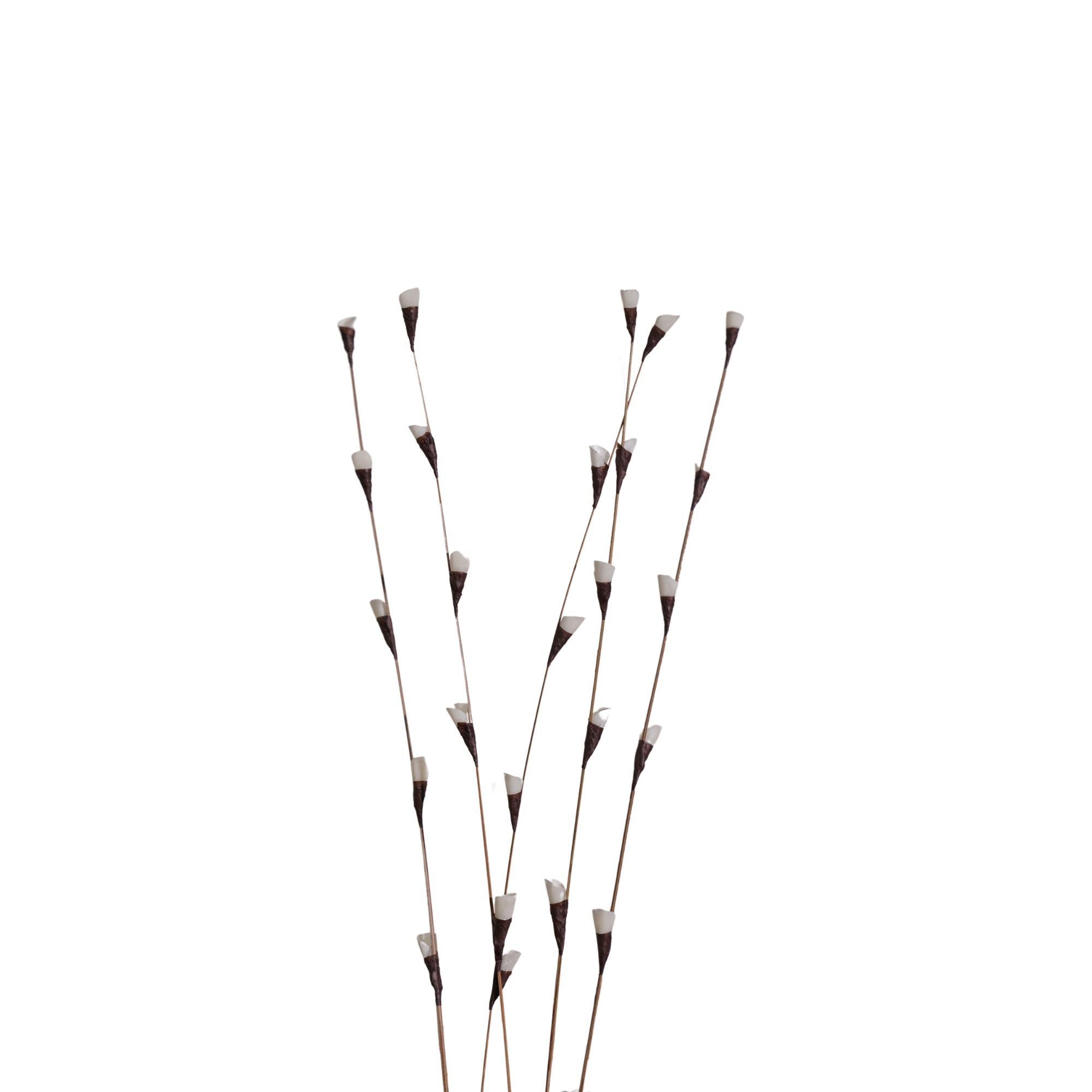  Hoa Khô Fishscale Branch 