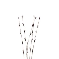  Hoa Khô Fishscale Branch 