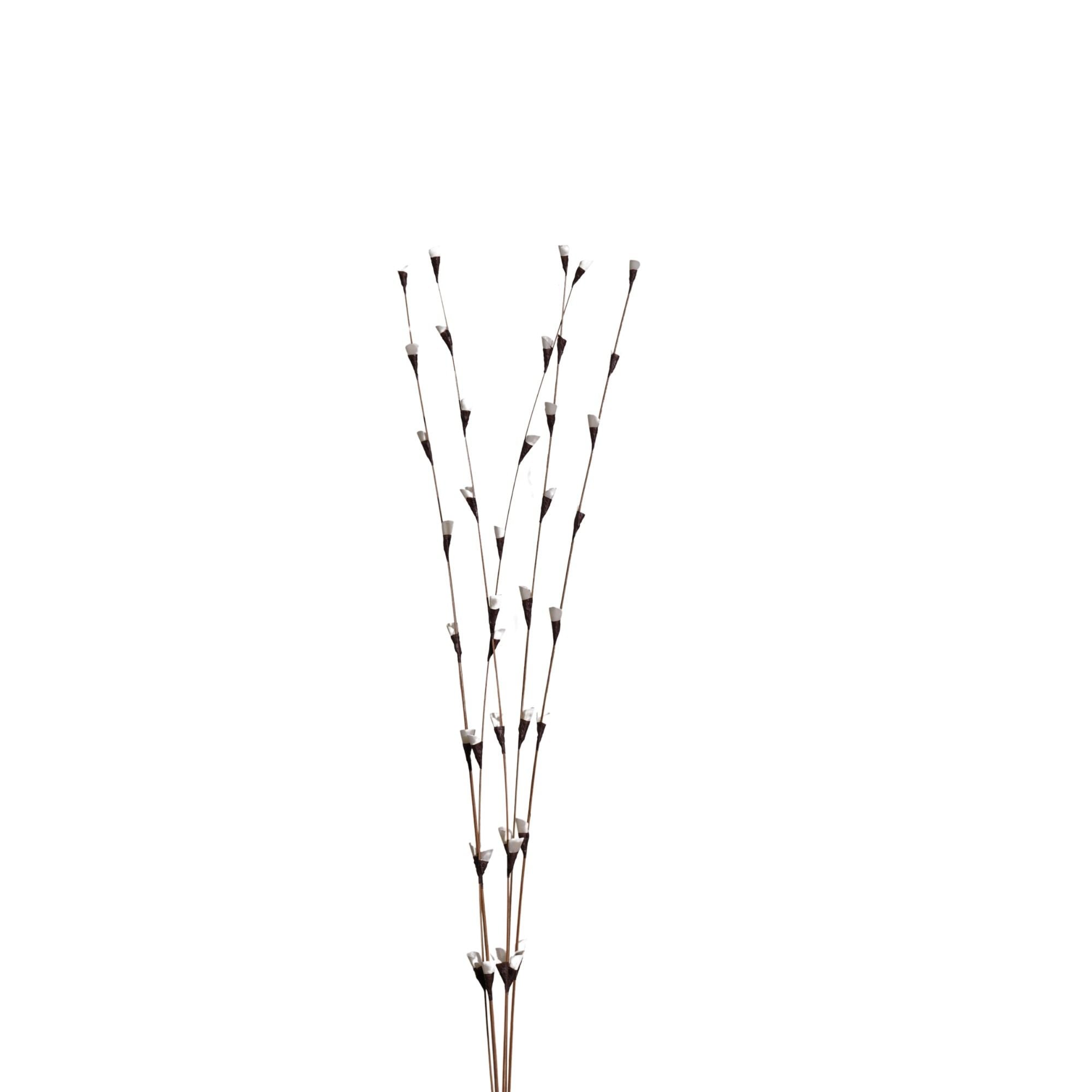  Hoa Khô Fishscale Branch 