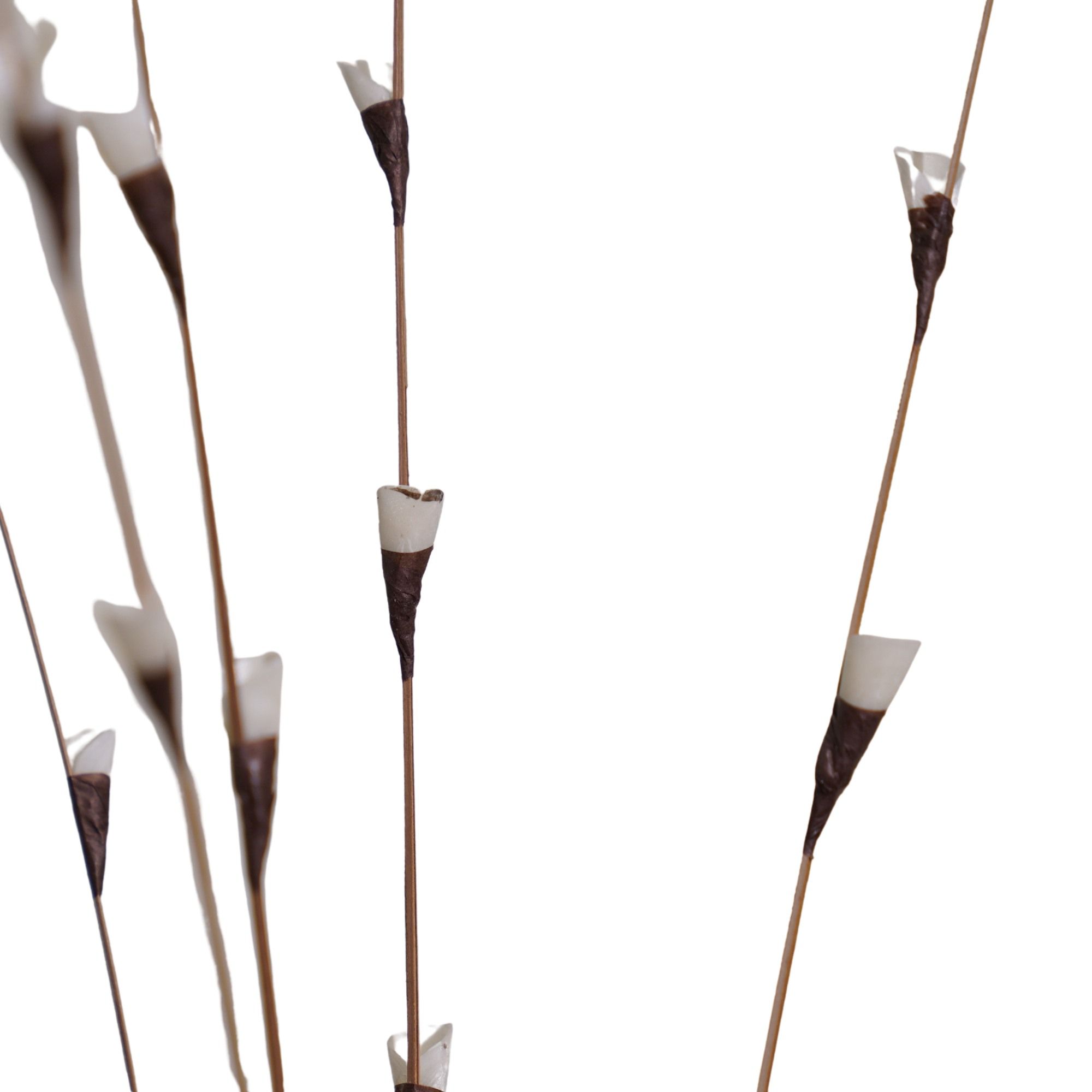  Hoa Khô Fishscale Branch 