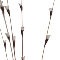  Hoa Khô Fishscale Branch 