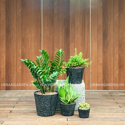 Bộ chậu cây TÀI LỘC Noir