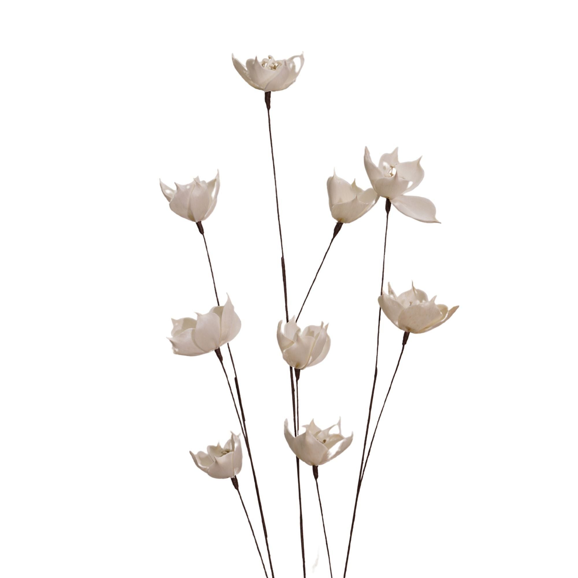  Hoa Khô 3 Orange Blossom Branch 