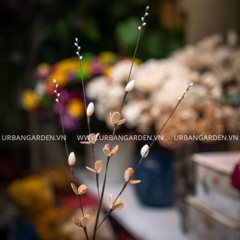 Hoa Khô Pretty Branch (B)