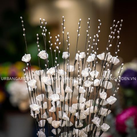 Hoa Khô Gypso Branch