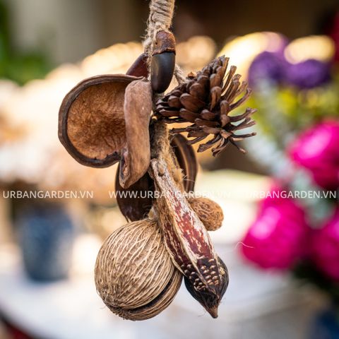 Gỗ Thông Treo Mixed Pods Bunch