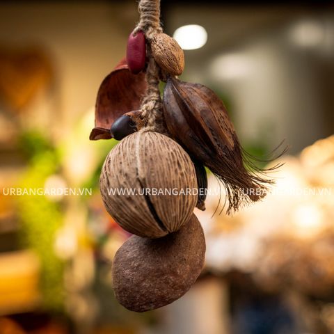 Gỗ Thông Treo Mixed Pods Bunch