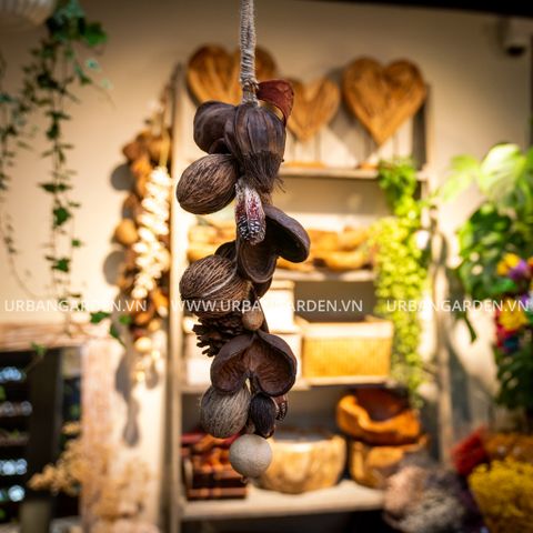 Gỗ Thông Treo Mixed Pods Bunch (L)