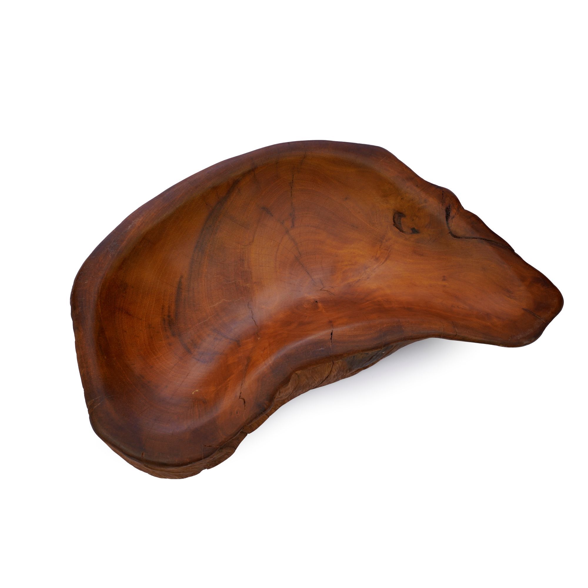  Khay Gỗ Decor Gỗ Lũa Reborn Wood Driftwood 16IX3-Lot No.3 