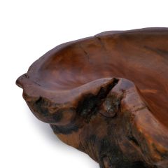  Khay Gỗ Decor Gỗ Lũa Reborn Wood Driftwood 16IX3-Lot No.3 