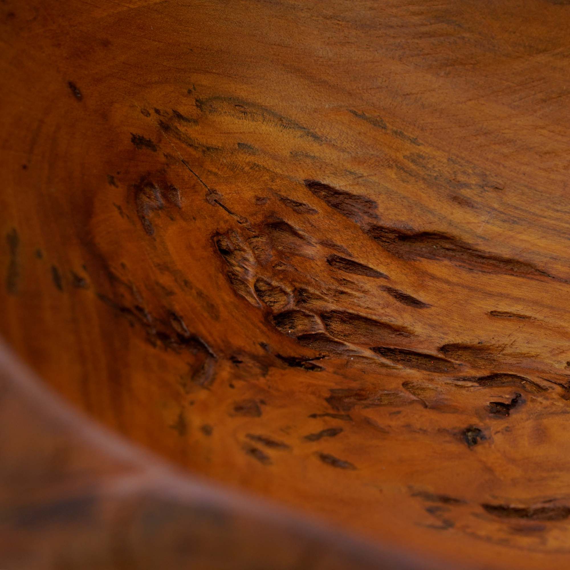  Khay Gỗ Decor Gỗ Lũa Reborn Wood Driftwood 16IX3-Lot No.3 