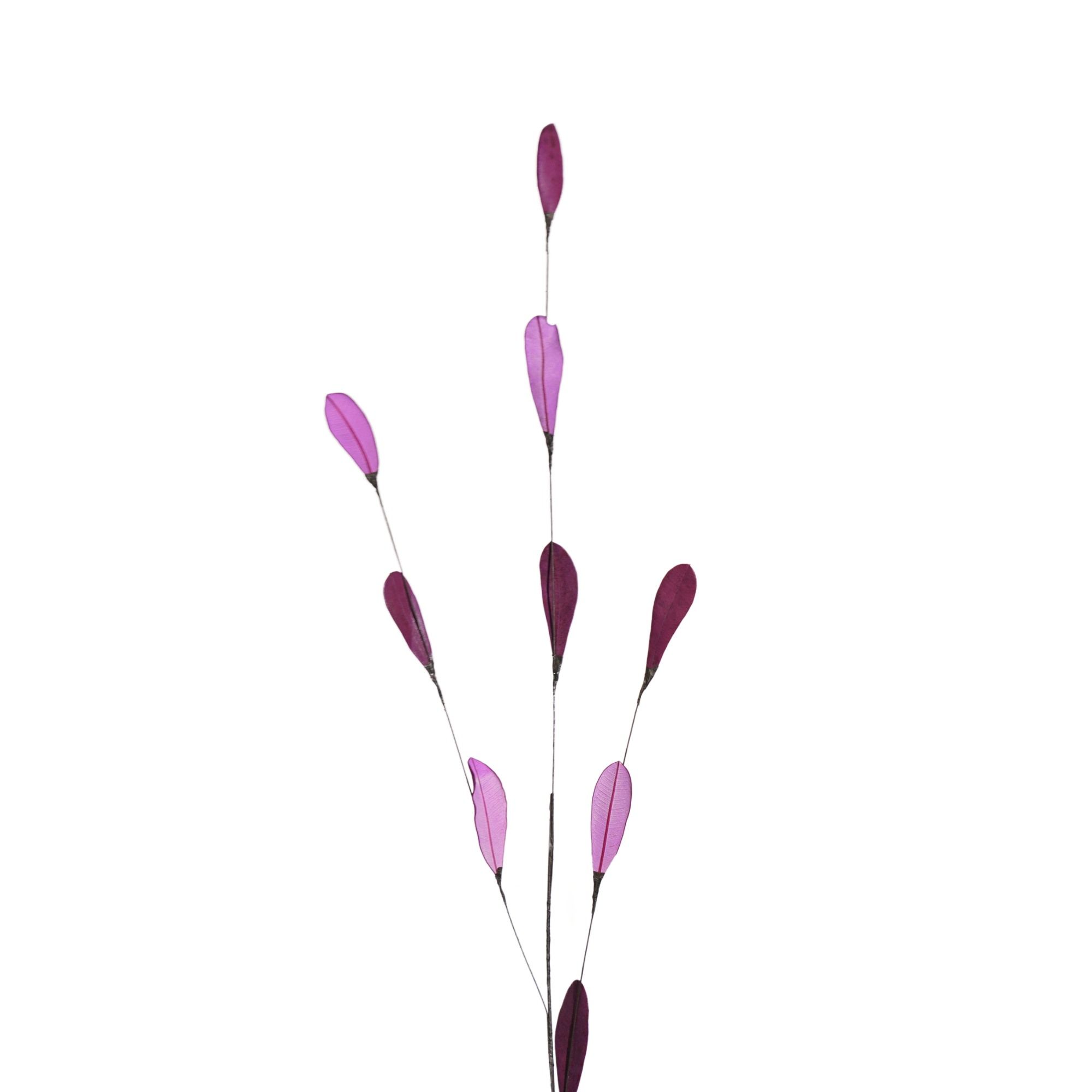  Hoa Khô Banksia Branch (Pink) 