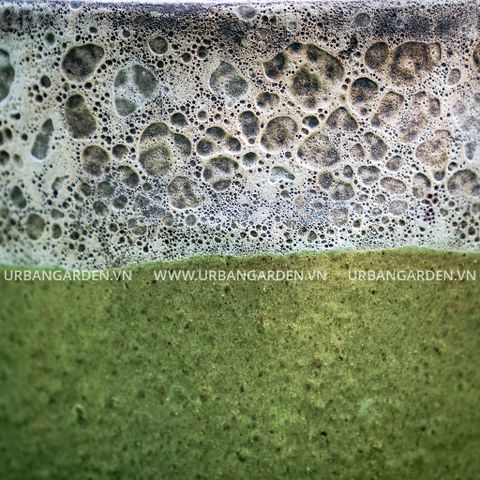 Chậu Cây Gốm Scoria Pale