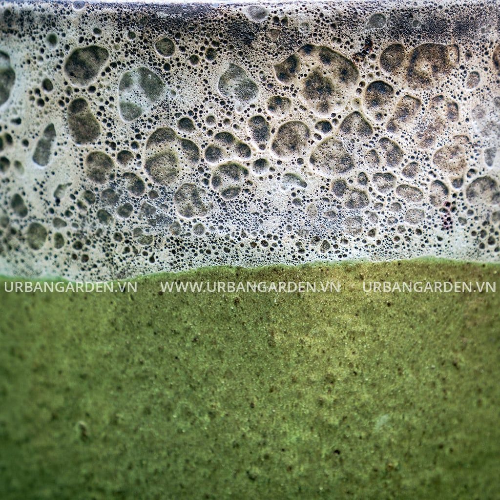  Chậu Cây Gốm Scoria Pale 