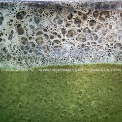  Chậu Cây Gốm Scoria Pale 