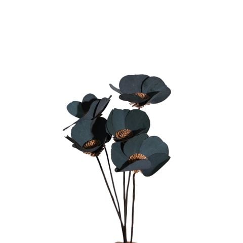 Hoa Khô Eucalyp Blossom