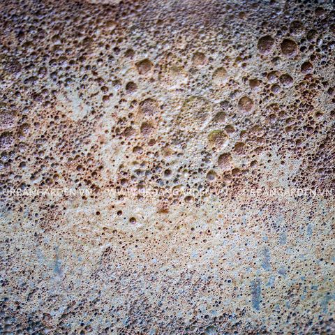 Chậu Cây Gốm Scoria - Trắng