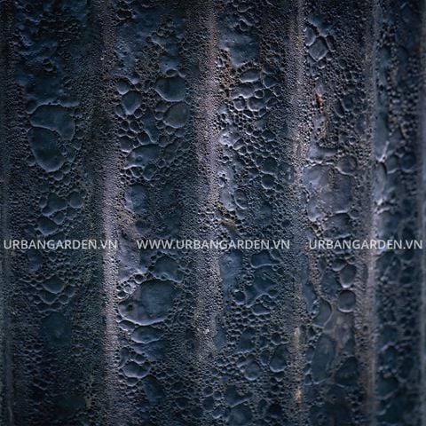 Chậu Cây Gốm Sun