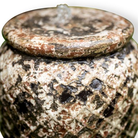 Chậu Thác Nước Anabas