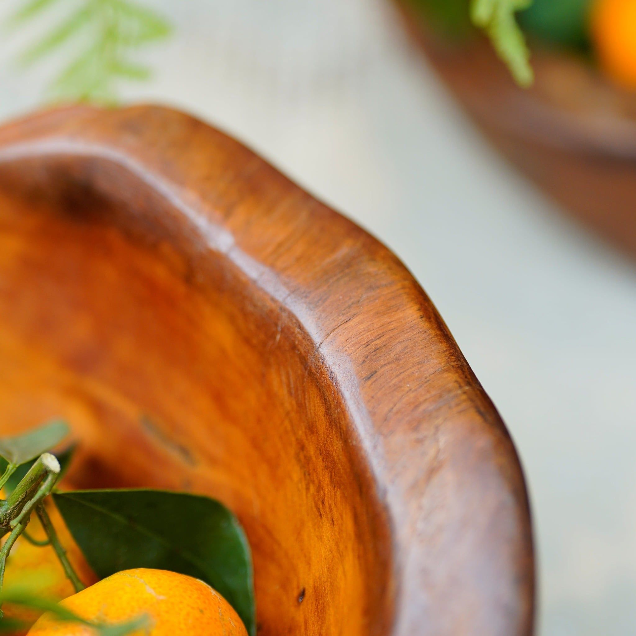  Khay Gỗ Decor Gỗ Lũa Reborn Wood Driftwood 16IX3-Lot No.3 